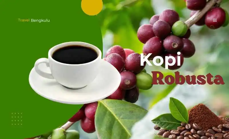 Kopi Robusta Lebong dari perkebunan dataran tinggi Bengkulu